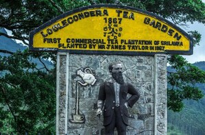 James Taylor's Tea Story Tour from Kandy