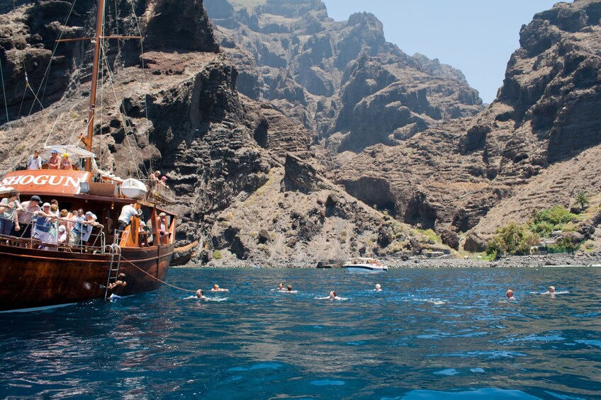 5-hour Masca-Los Gigantes Whale Watching Tour