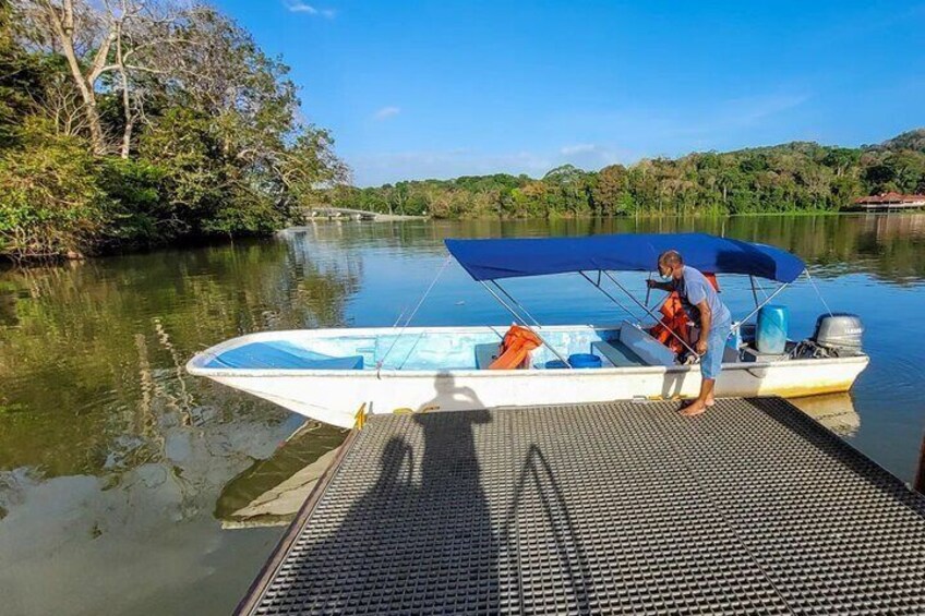 7 Hours Monkey Island and Nature Walk at Soberania National Park