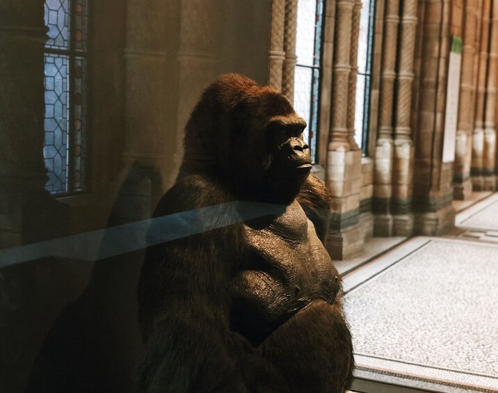 Skip-the-Line Natural History Museum PRIVATE TOUR with Guide