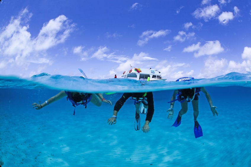 Snorkeling group in Cozumel
