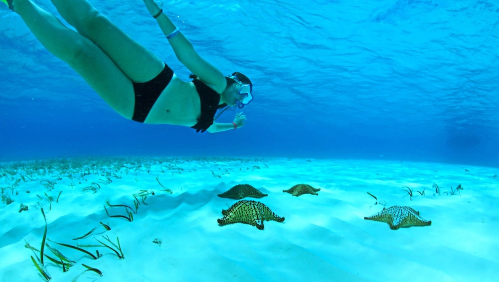 Cozumel Reef Adventure with Snorkeling & Lunch