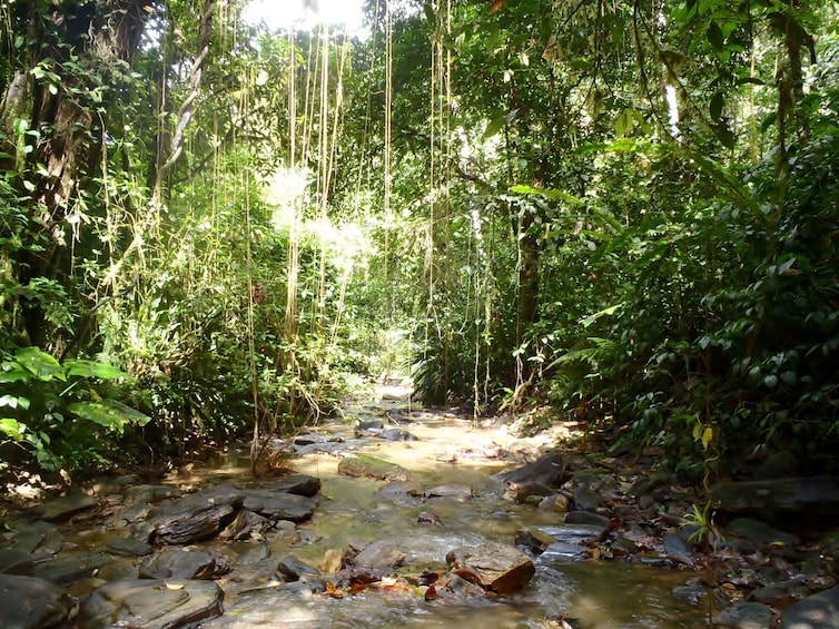 Zorro Waterfall Hike Experience