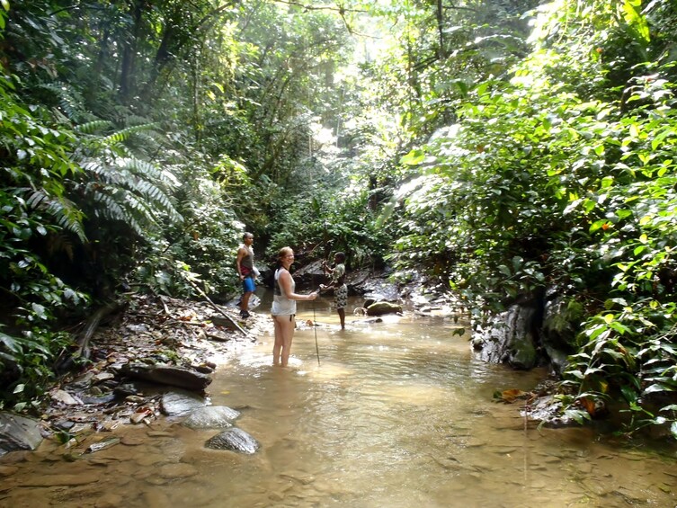 Zorro Waterfall Hike Experience