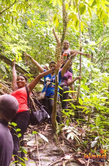 Zorro Waterfall Hike Experience