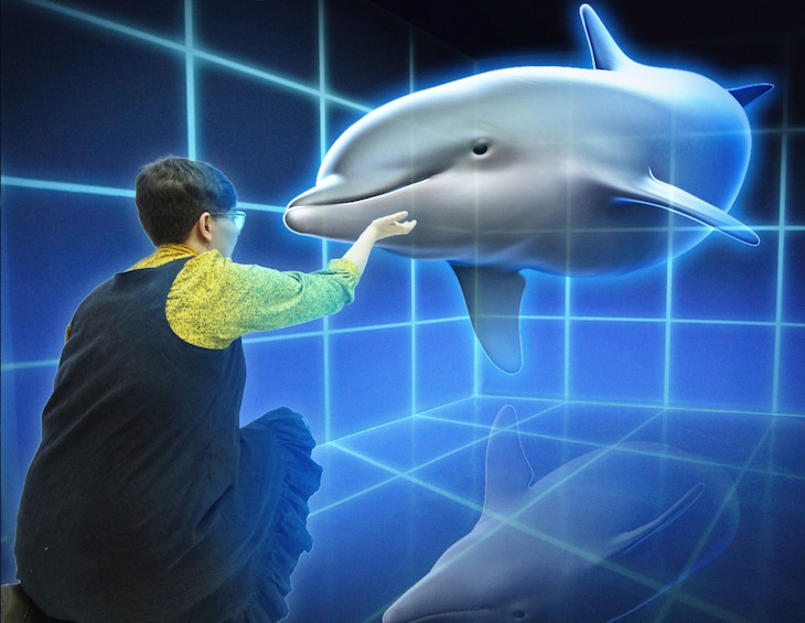 Show item 3 of 3. Person descends into the Holoverse