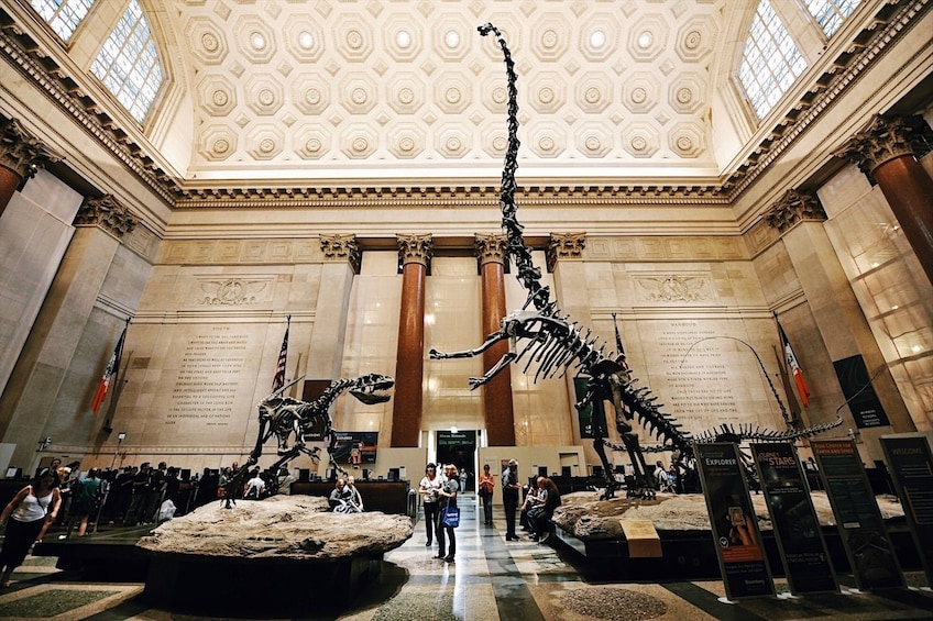 Dinosaurs at the American Museum of Natural History in New York