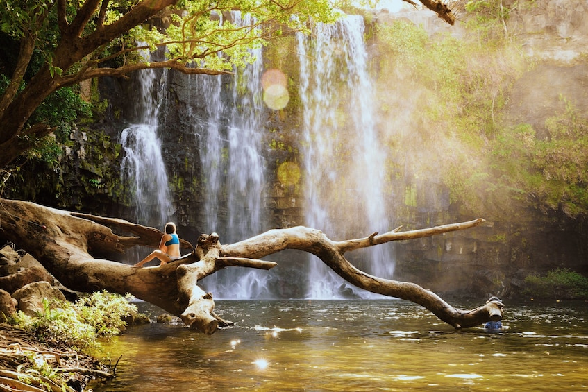 Rio Celeste Hiking, Sloth & Llanos de Cortez Waterfall Tour