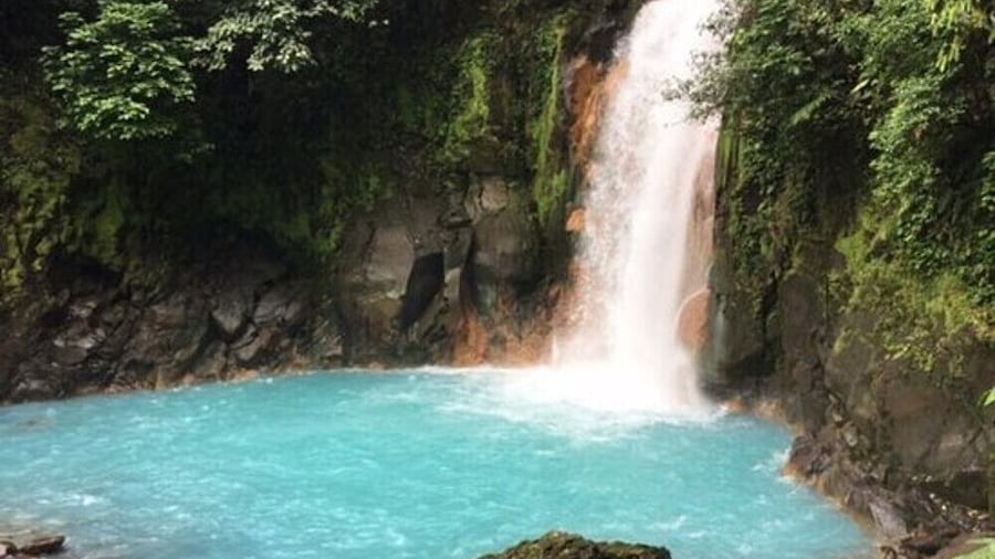 Rio Celeste Hiking, Sloth & Llanos de Cortez Waterfall Tour