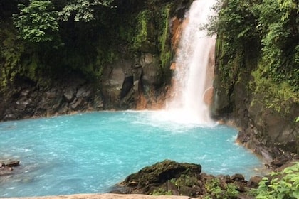 Randonnée dans le Rio Celeste, paresseux et chutes d'eau des Llanos de Cort...