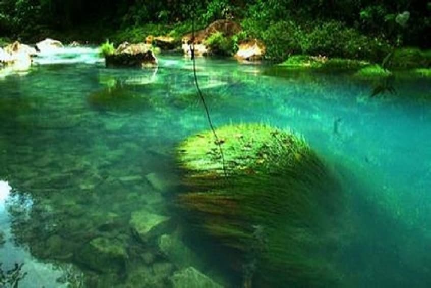 Rio Celeste Hiking, Sloth & Llanos de Cortez Waterfall Tour