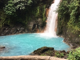 Rio Celeste Hiking, Sloth & Llanos de Cortez Waterfall Tour