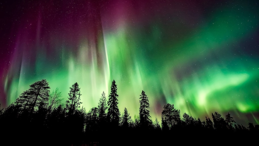 Northern Lights in Fairbanks