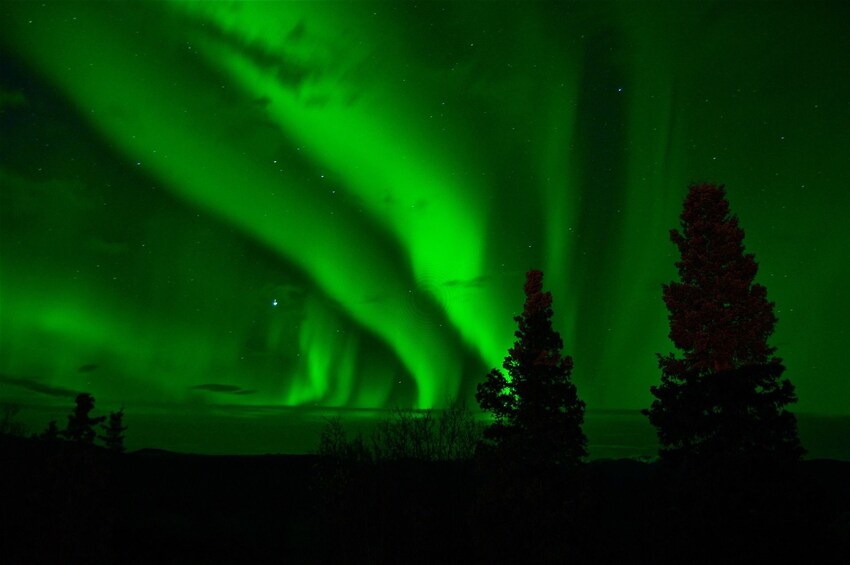 Northern Lights in Fairbanks