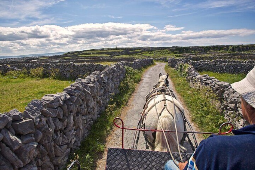 Private cultural tour of Inisheer, Aran Islands with lunch, horse and trap tour