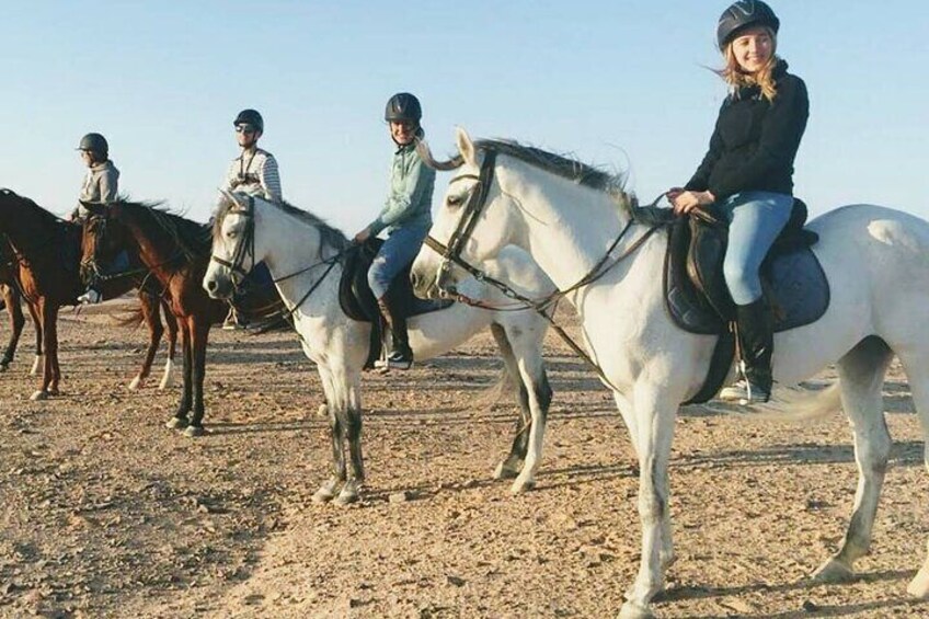 Bedouin Dinner, Egyptian Show andHorse Ride tour 1 Hour - Sharm El Sheikh