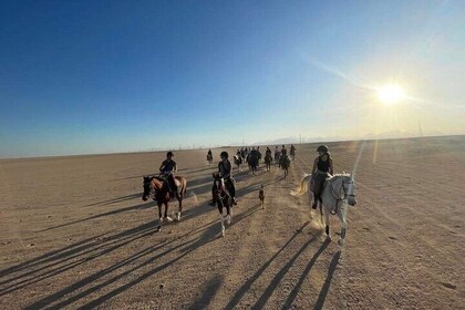 Bedouin Dinner, Egyptian Show and Horse Ride tour 1 Hour - Sharm El Sheikh