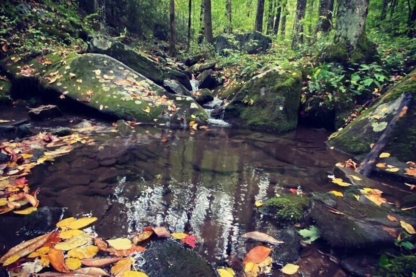 Appalachian Waterfalls Hike