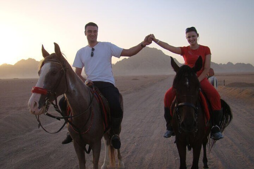 Bedouin Night Dinner, Egyptian Show, and Horse Ride tour 2 Hours-Sharm El Sheikh