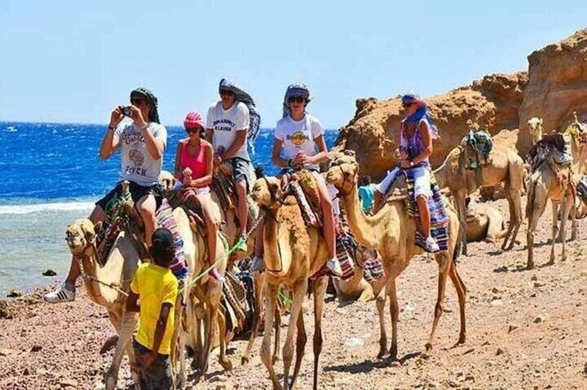 Blue Hole Canyon and ATV Quad By Bus with Camel Ride, BBQ Lunch -Sharm El Sheikh