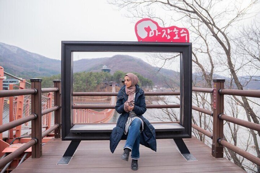(No Shopping) Private Tour to DMZ & War Memorial Hall or Suspension Bridge