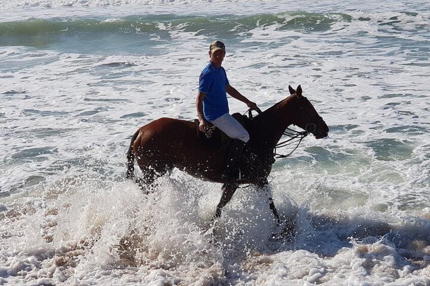 Stunning Sundown Beach Ride ... on horseback!