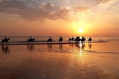 Superbe promenade sur la plage au coucher du soleil ... à cheval!