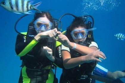 Ras Muhammed, White Island Snorkelling Trip and 15 min Diving on Sharm El S...