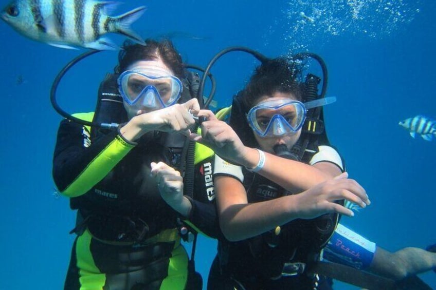 Ras Muhammed, White Island Snorkeling Trip and 15 min Diving on Sharm El Shiekh