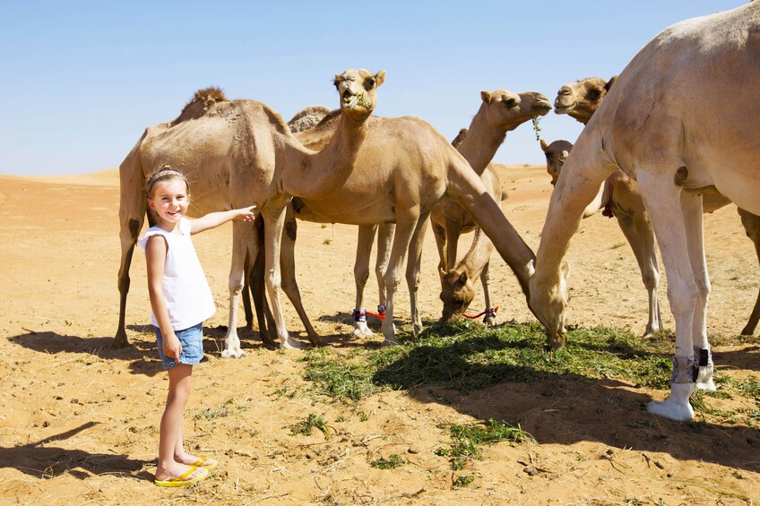 Abu Dhabi Morning Desert Safari with Camel Ride