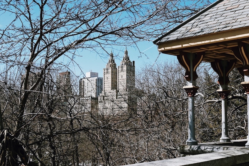 Central Park in New York - PRIVATE TOUR with Expert Guide
