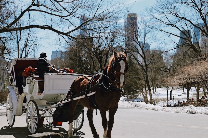 Central Park in New York - PRIVATE TOUR with Expert Guide