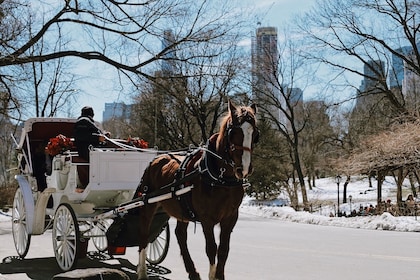 Central Park i New York - vandringstur med ekspertguide