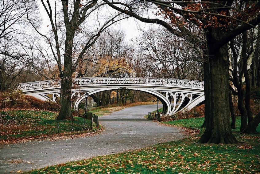 Bridge in Central Park in New York
