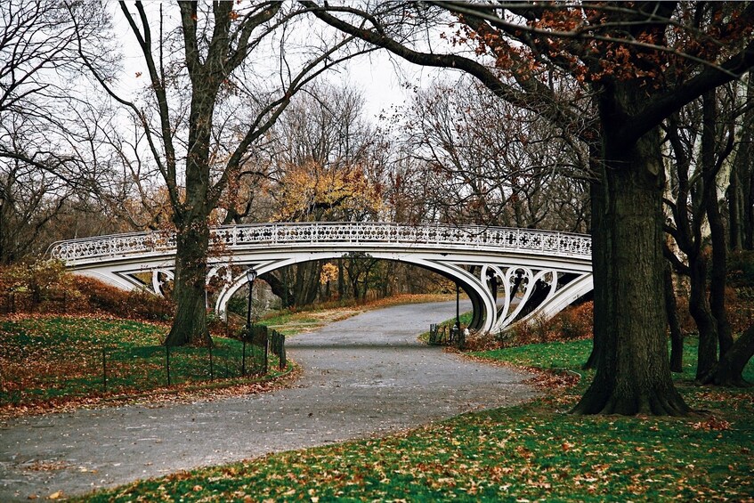 Bridge in Central Park in New York