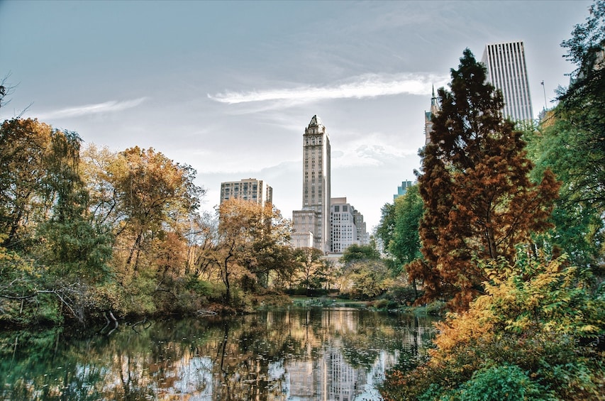 Central Park in New York