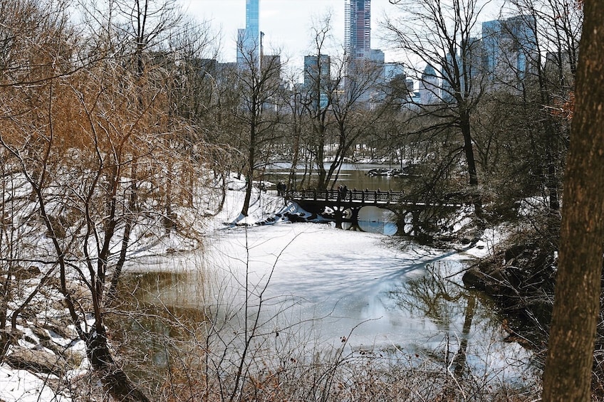 Central Park in New York - PRIVATE TOUR with Expert Guide