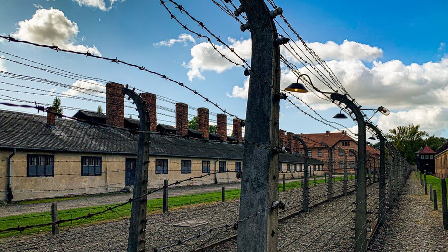 Auschwitz-Birkenau Memorial and Wieliczka Salt Mine Day Tour