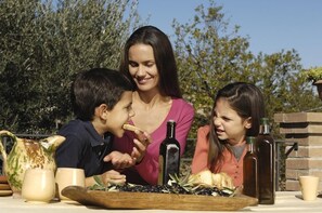 Extra Virgin Olive Oil Tour with Lunch in Umbria