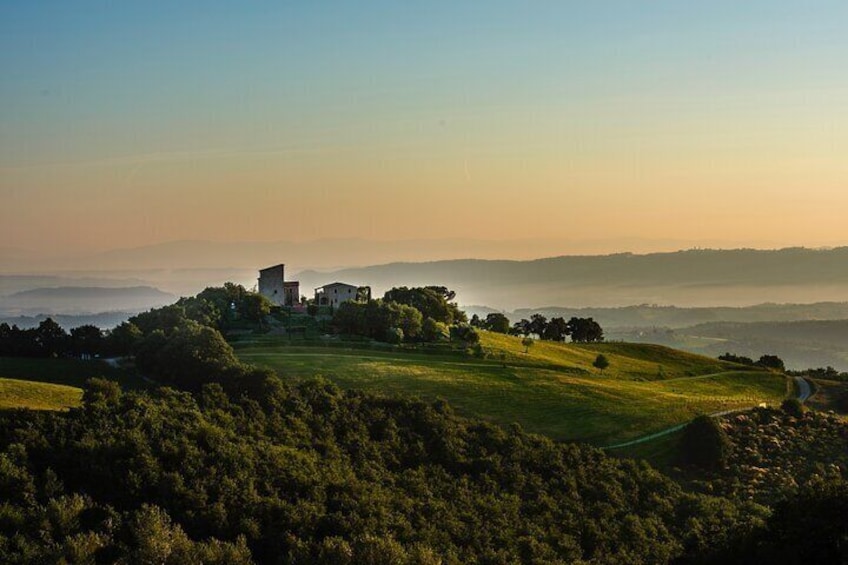 Come try our Torre Bisenzio Organic Wines, in the luxury of our new tasting room