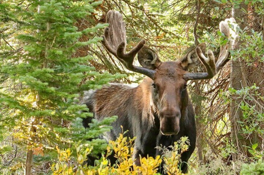 RMNPhotographer Tour