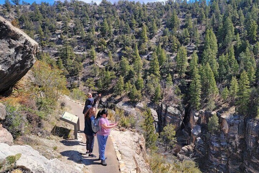 Petrified Forest Ultimate Adventure Private Tour in Arizona