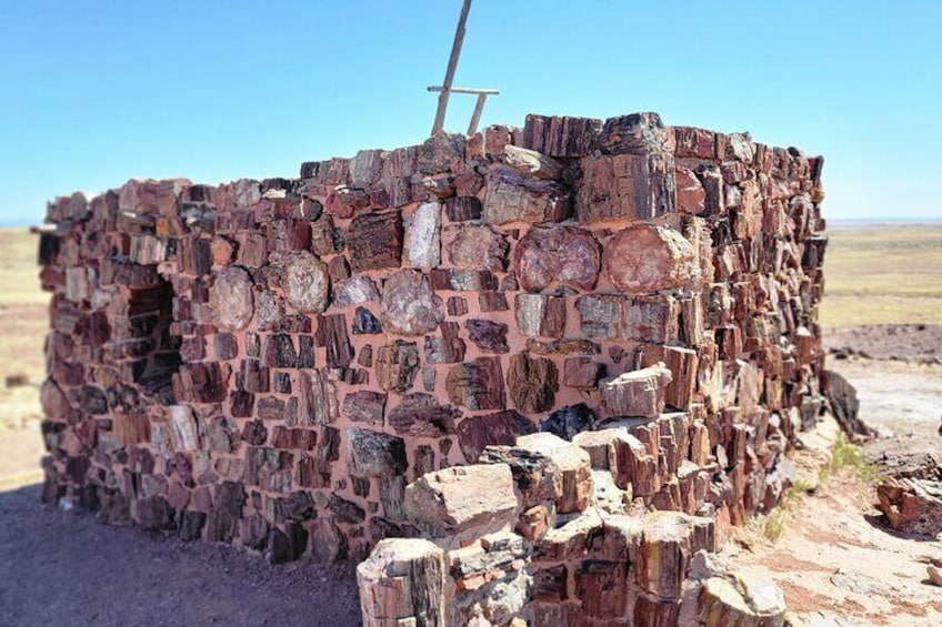 Petrified Forest Ultimate Adventure Private Tour in Arizona