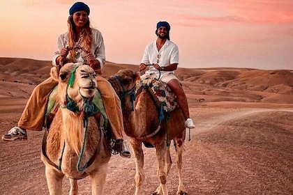 Tramonto e cena nel deserto di Agafay Marrakech con i cammelli