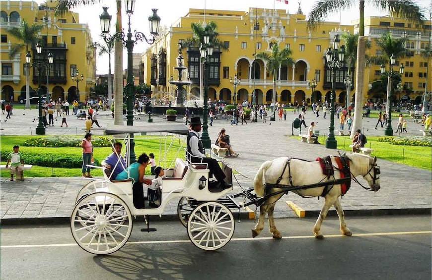 Horse drawn carriage in Lima