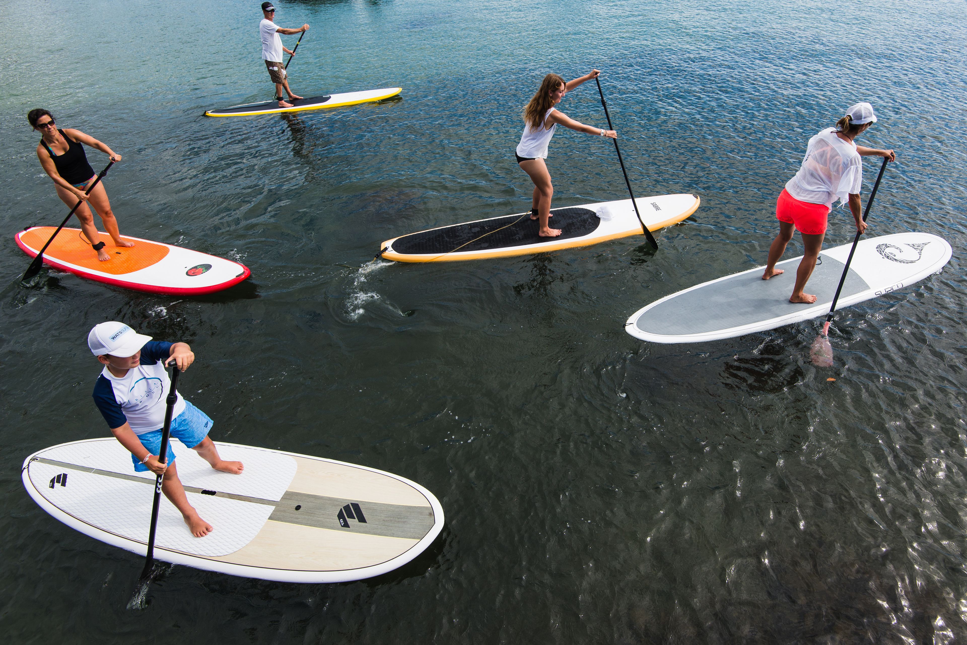 Group Stand Up Paddle Tour of Sydney Harbour