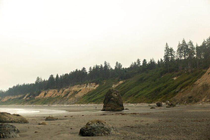 Full-Day Private Tour and Hike in Olympic National Park (West Peninsula)