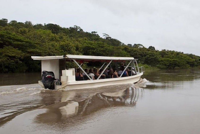 Boat Safari on the Tempisque River