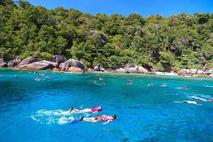 Excursión de snorkel a las islas Similan con Fantastic Similan desde Khao L...