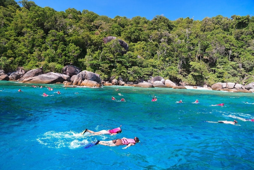Guests snorkeling in the beautiful blue waters of the Similan Islands 